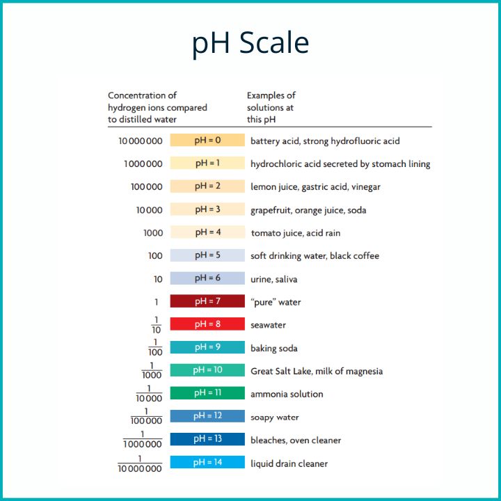 maintenance-db-ph-scale