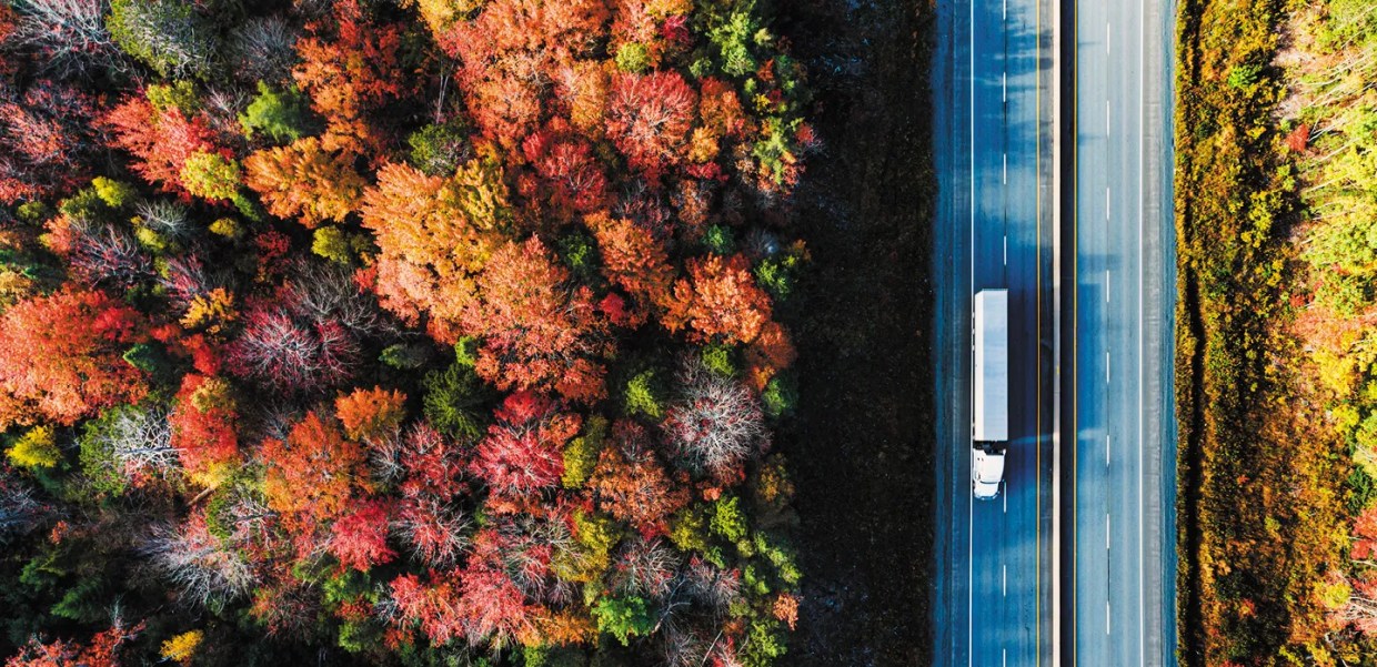 これだけはやっておきたい！　秋~冬のメンテナンスガイド